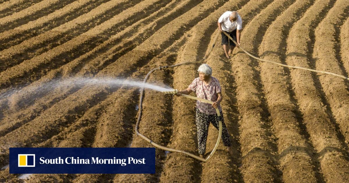 South China Morning Post