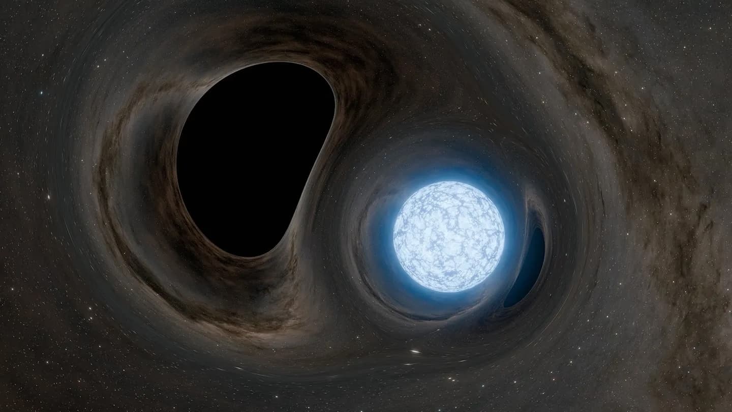 Live Science