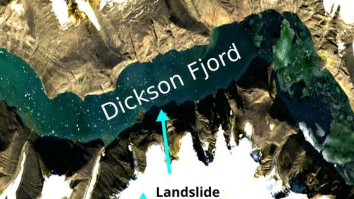 Gizmodo