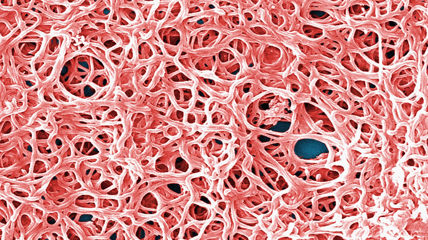 Science News