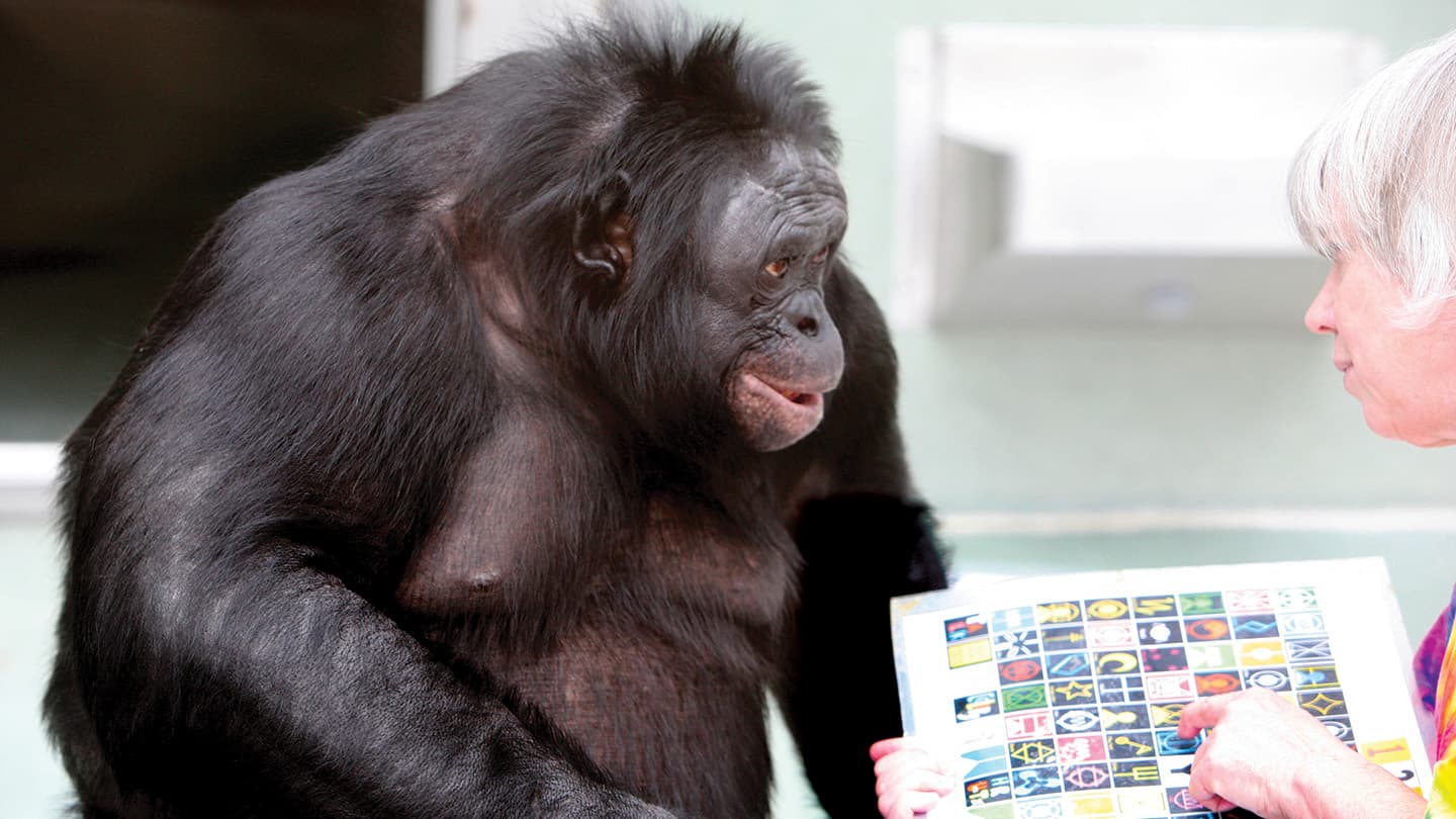Science News