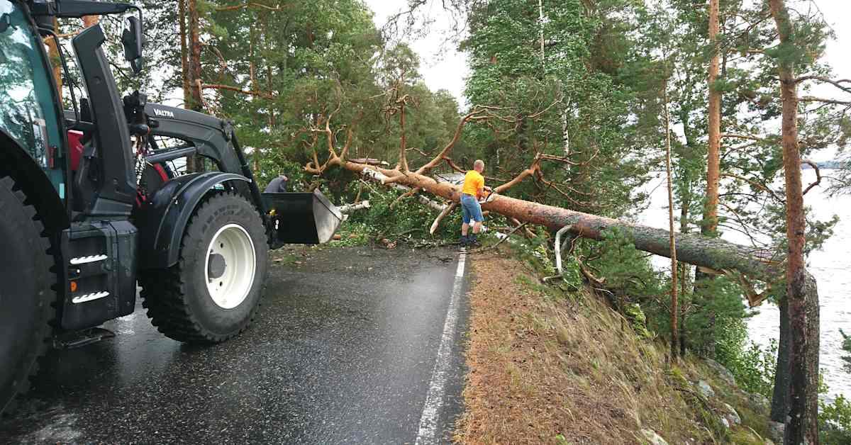 Yle News