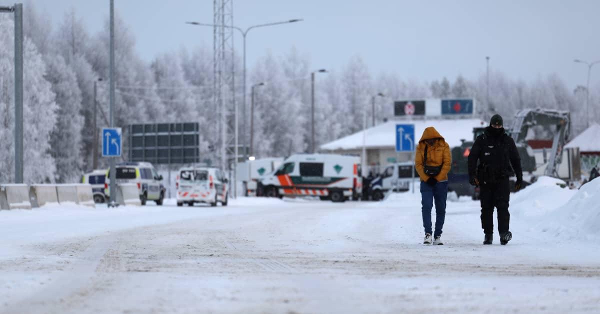 Yle News