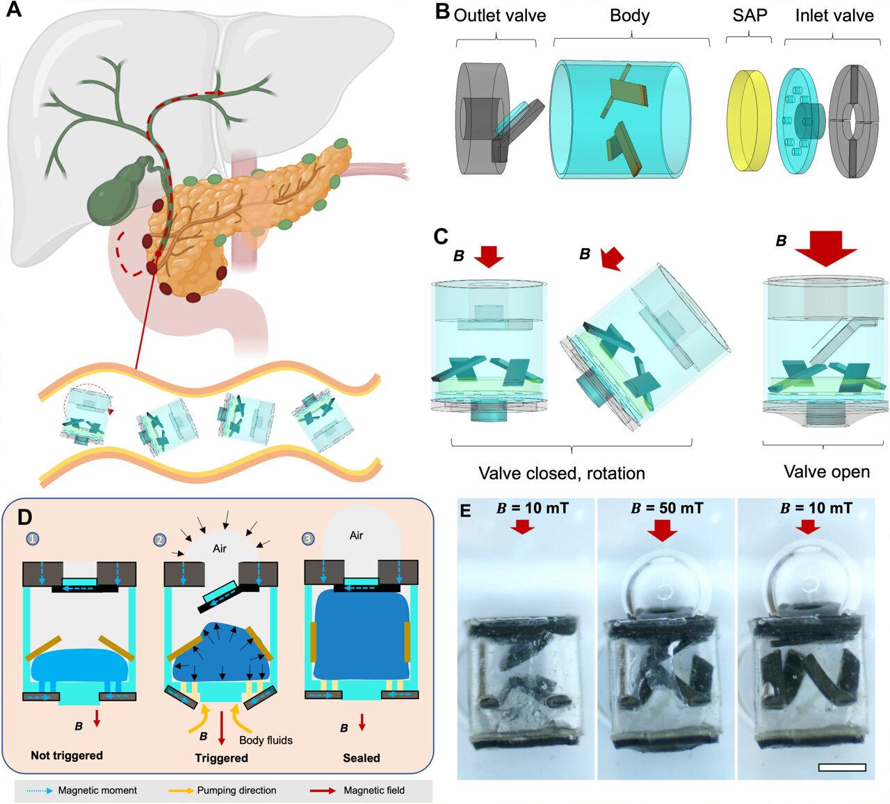 Medical Xpress - medical research advances and health news