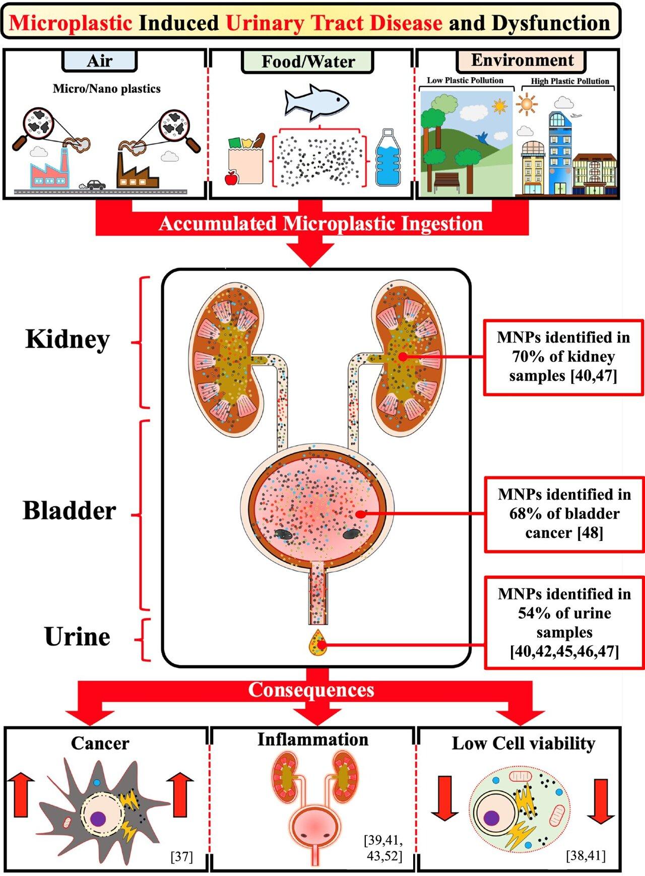 Medical Xpress - medical research advances and health news