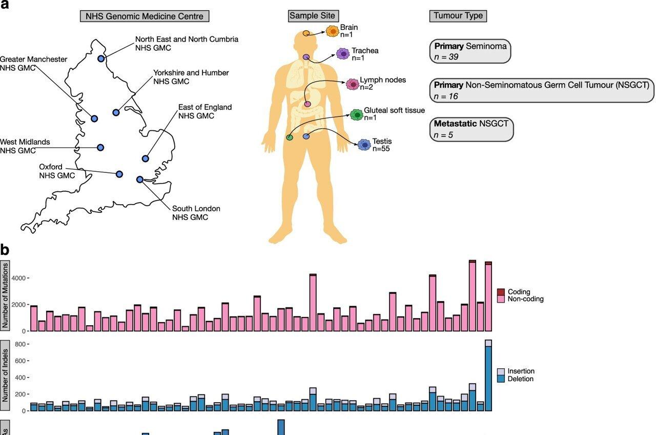 Medical Xpress - medical research advances and health news