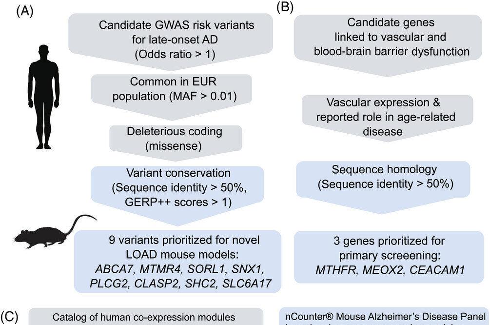 Medical Xpress - medical research advances and health news