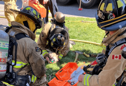 Firefighters give lifesaving CPR to dog 