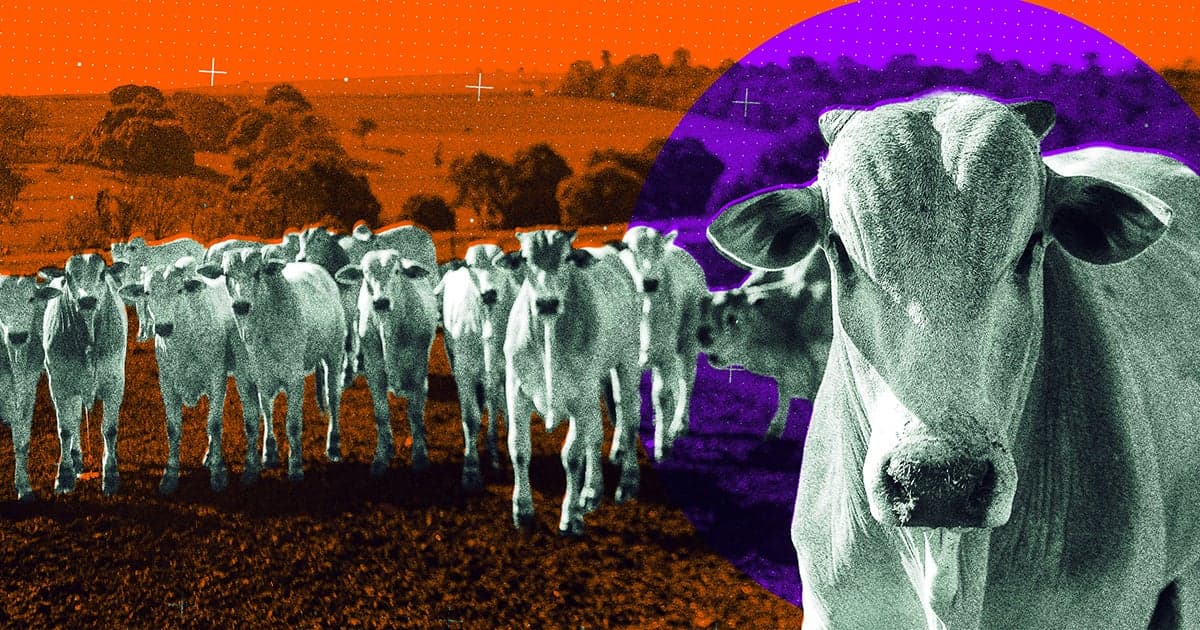 Futurism