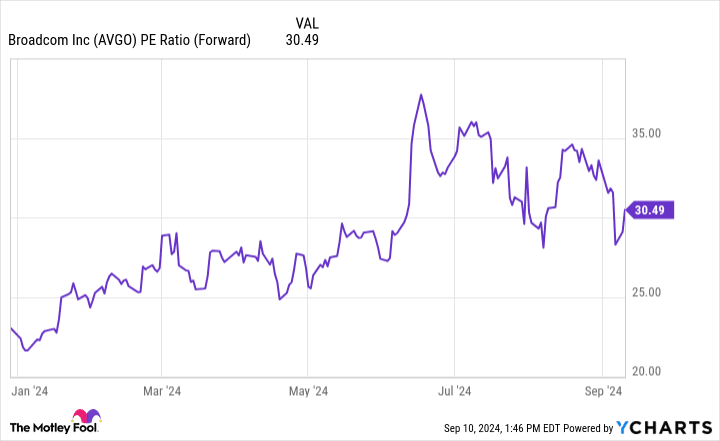 The Motley Fool