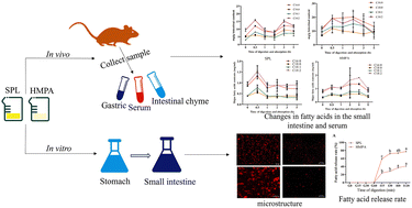 RSC Publishing Home – Chemical Science Journals, Books and Databases