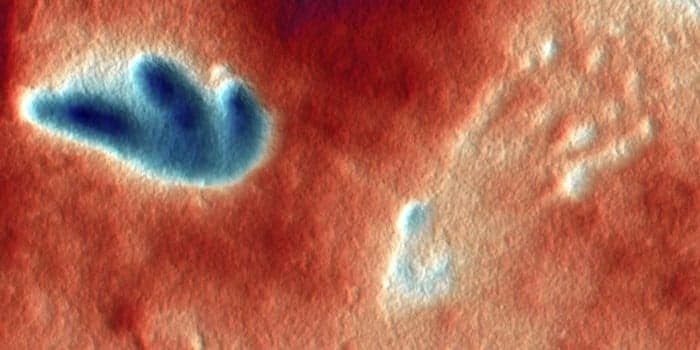 ScienceBlog.com