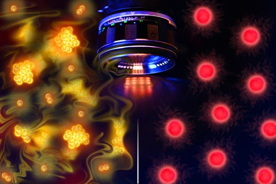 ScienceBlog.com