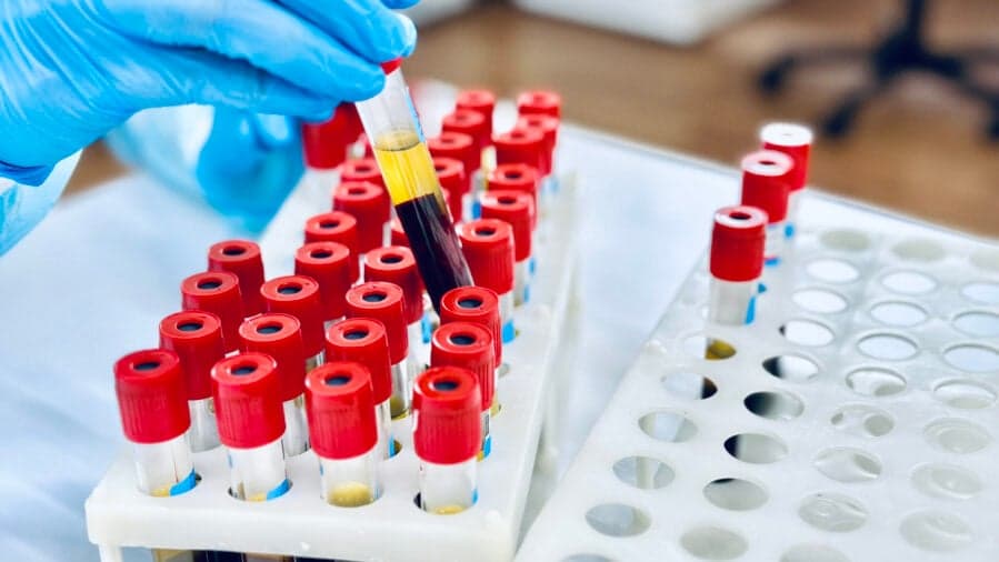 ScienceBlog.com