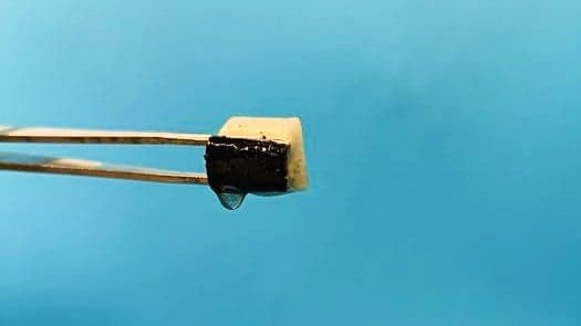 ScienceBlog.com