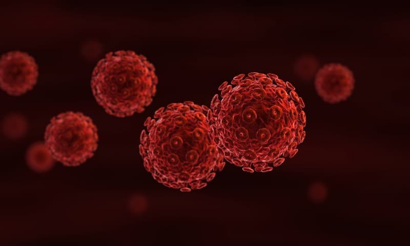 ScienceBlog.com