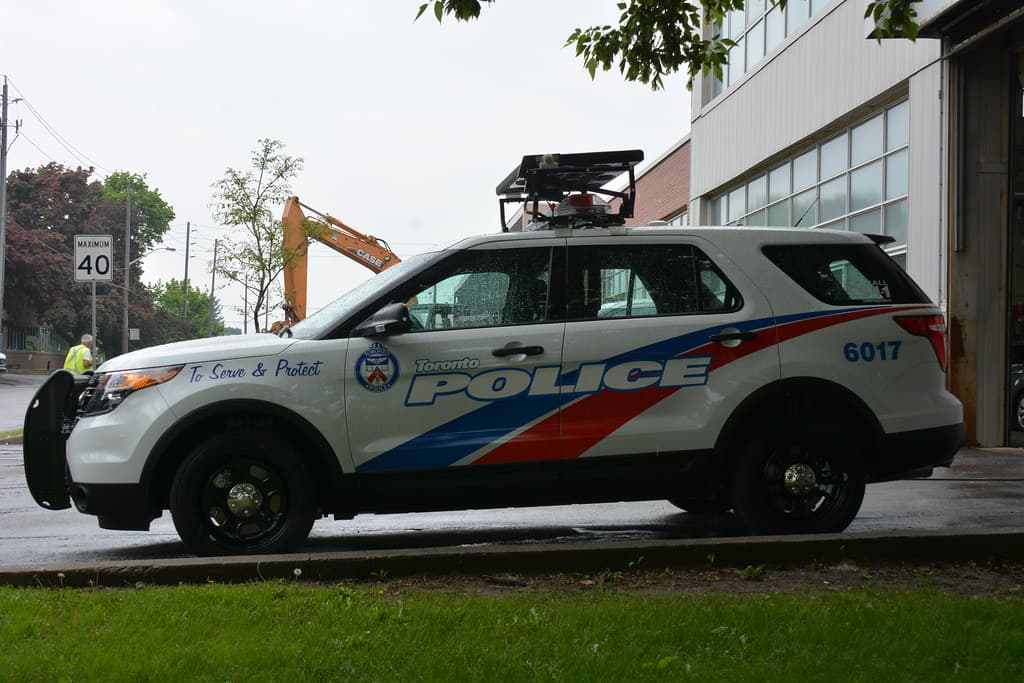CityNews