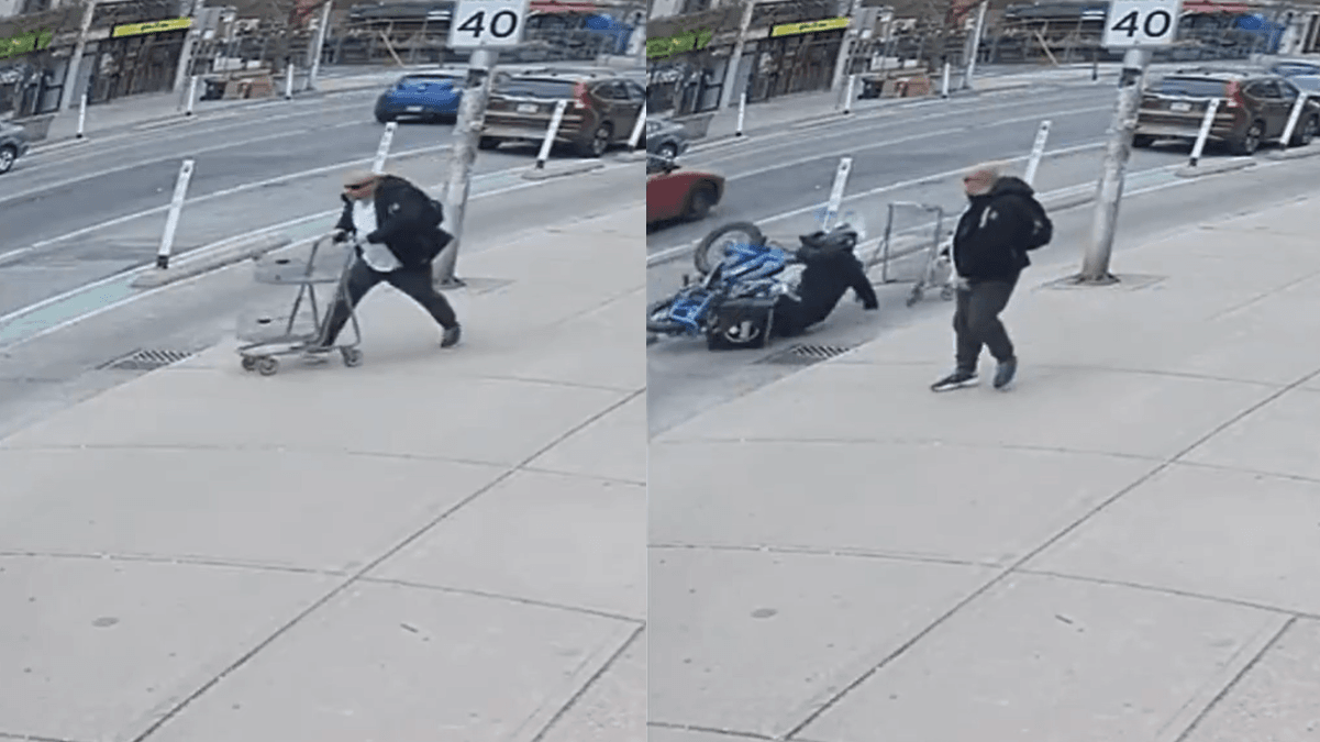 CityNews