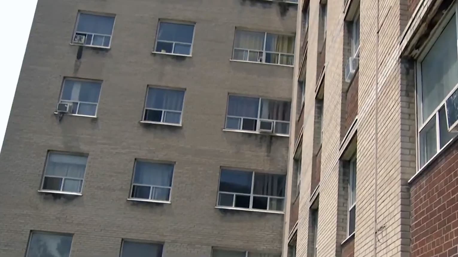 CityNews