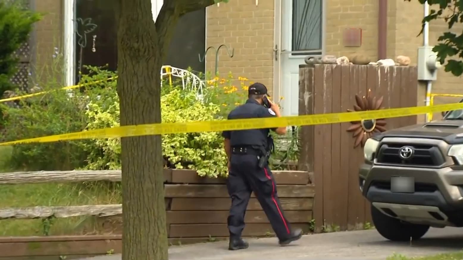 CityNews