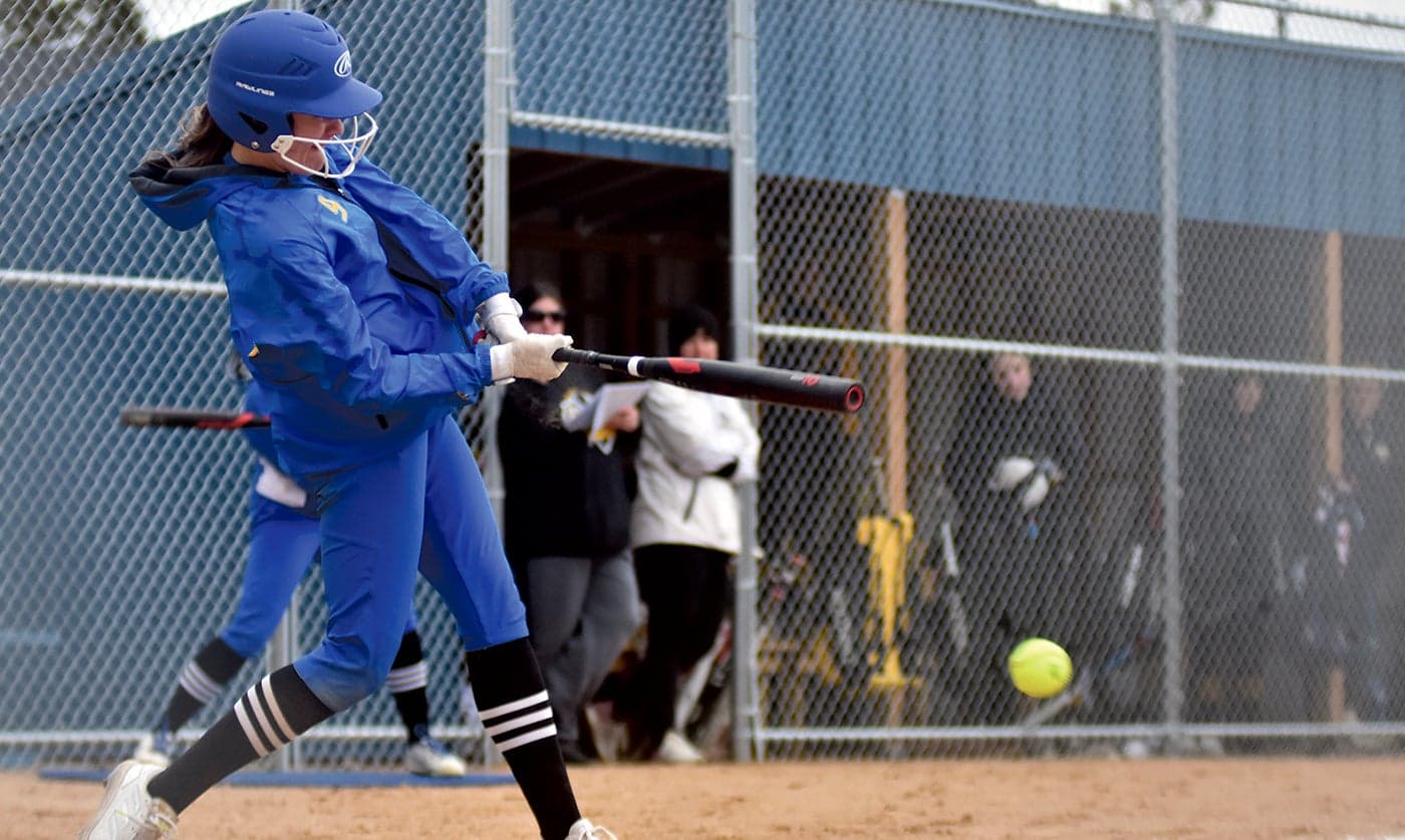 Austin Daily Herald