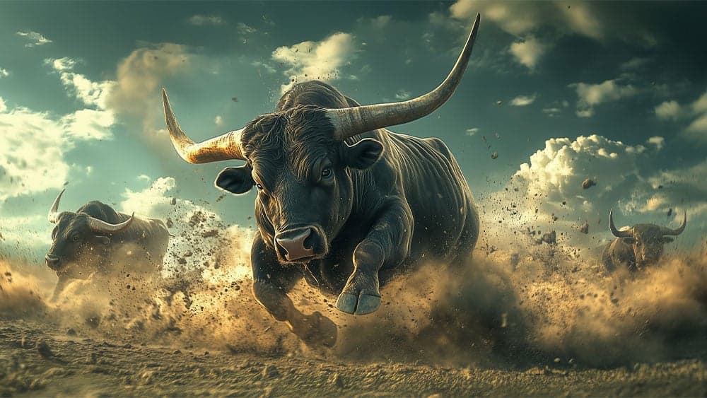 Investor's Business Daily