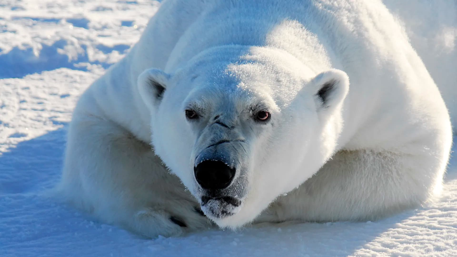ScienceDaily