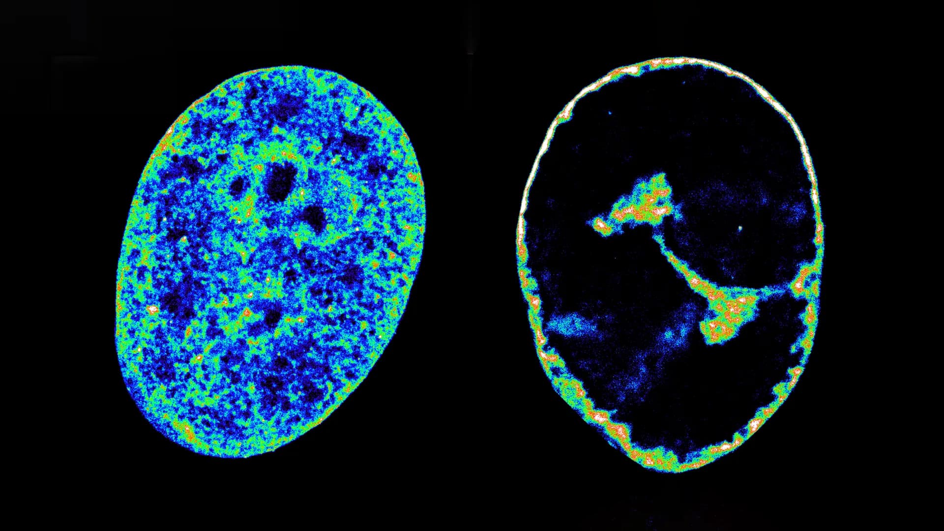 ScienceDaily
