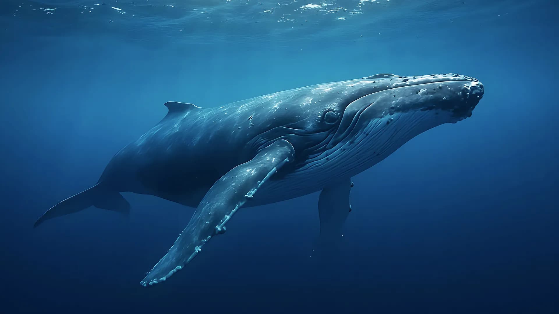 ScienceDaily