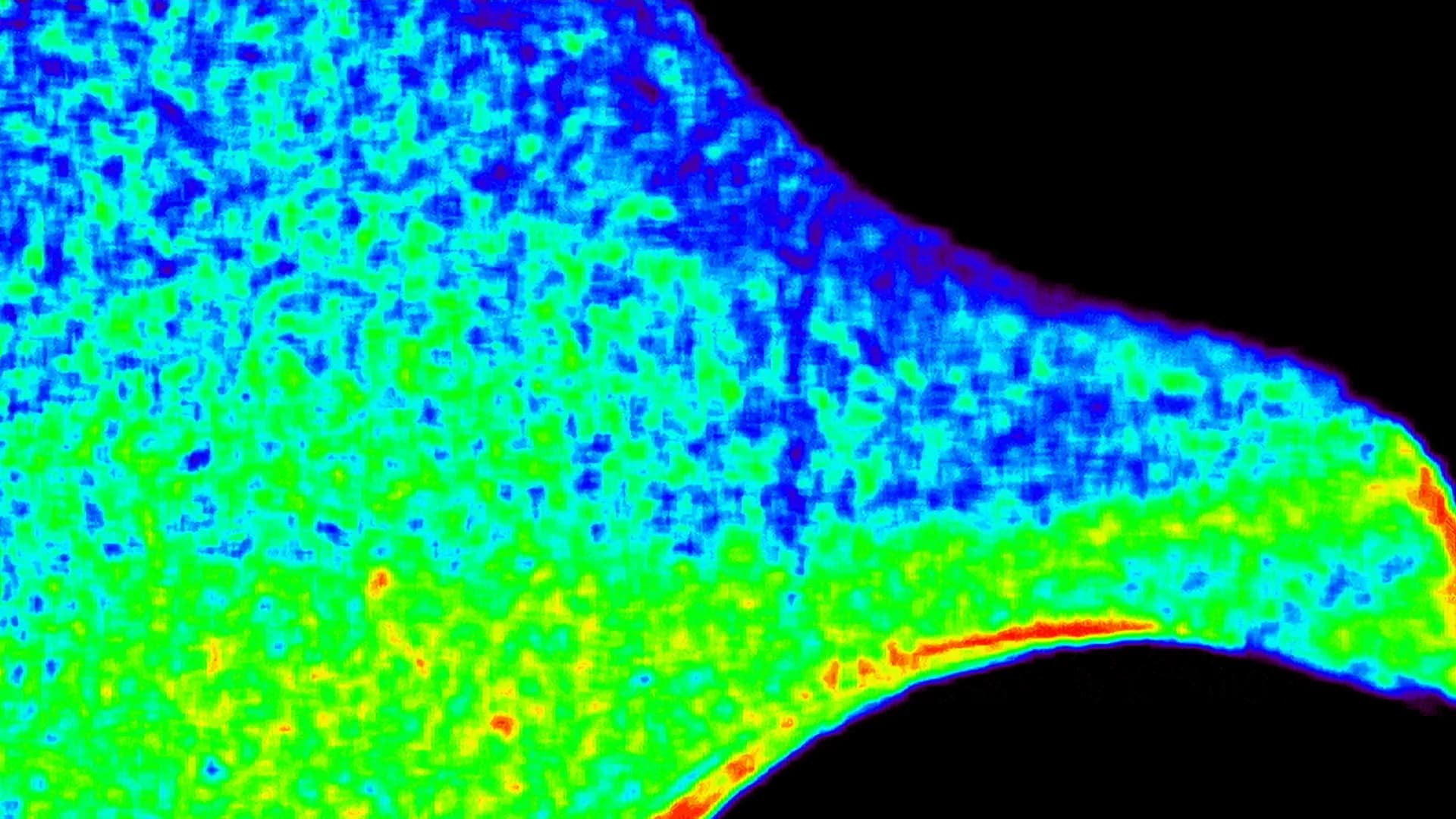 ScienceDaily