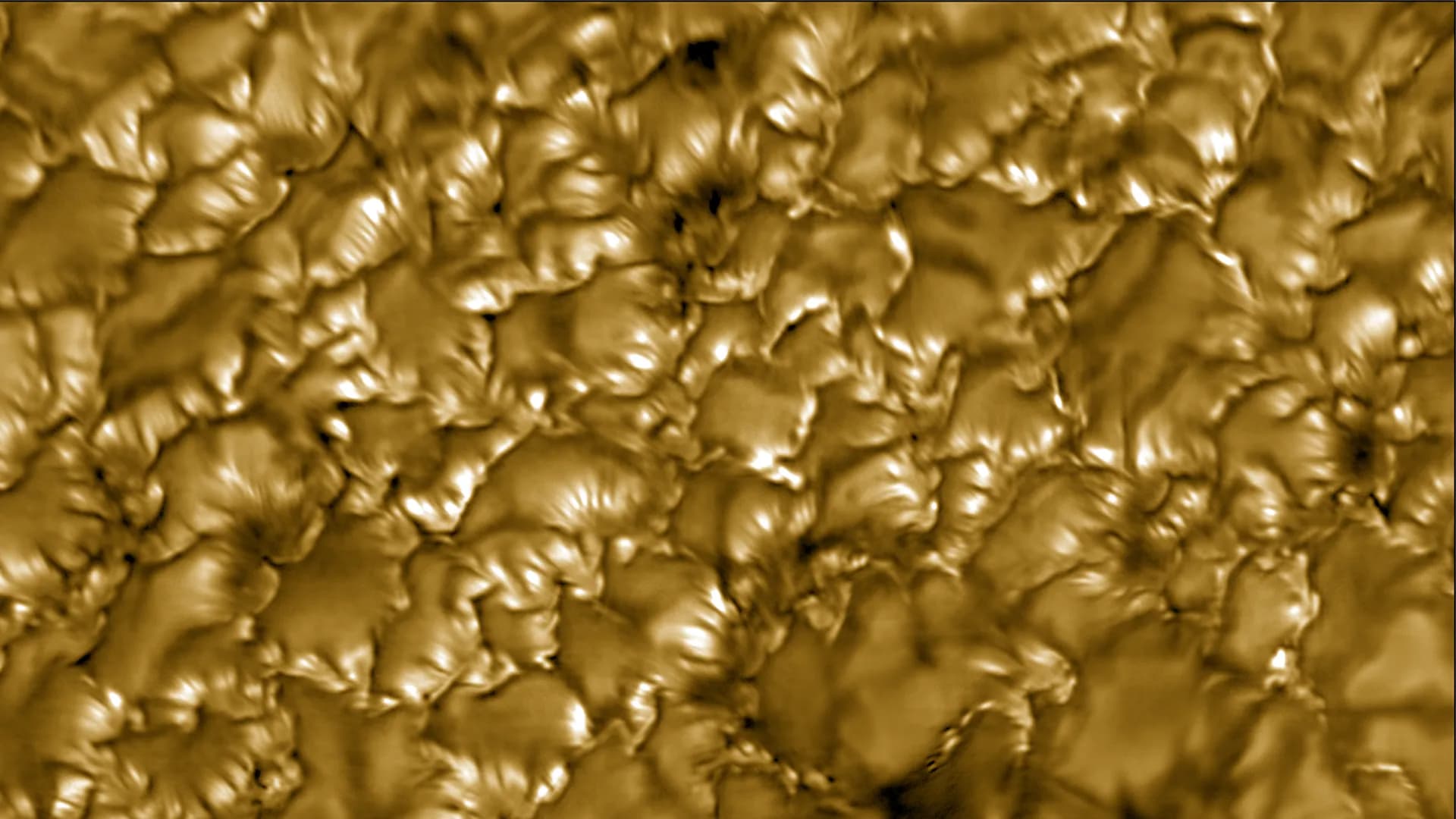 ScienceDaily