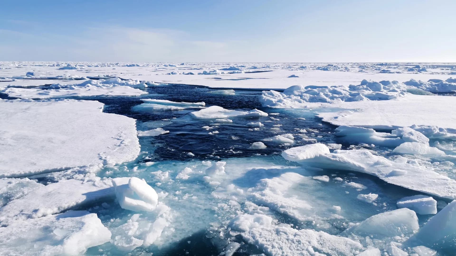 ScienceDaily