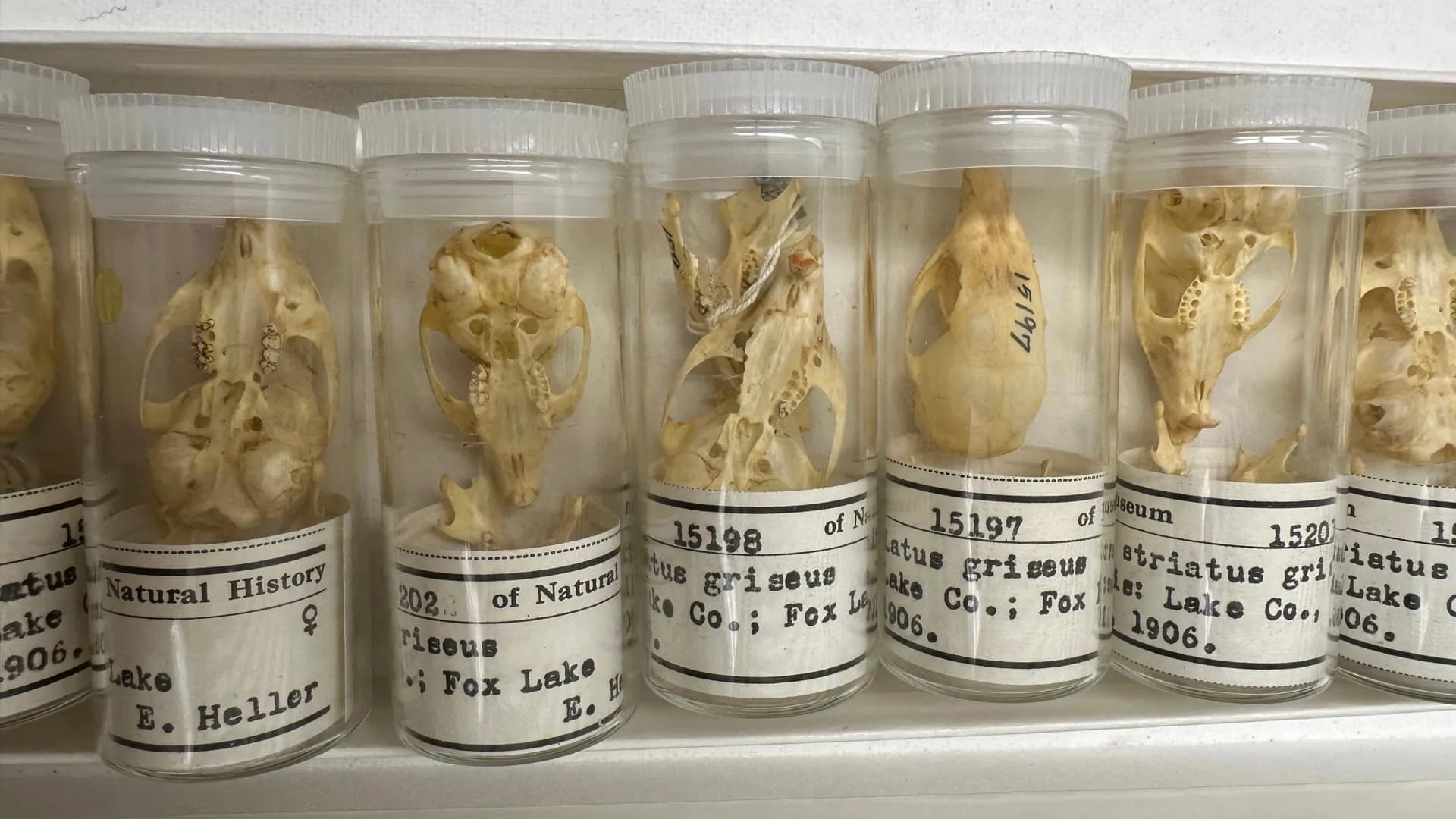 ScienceDaily