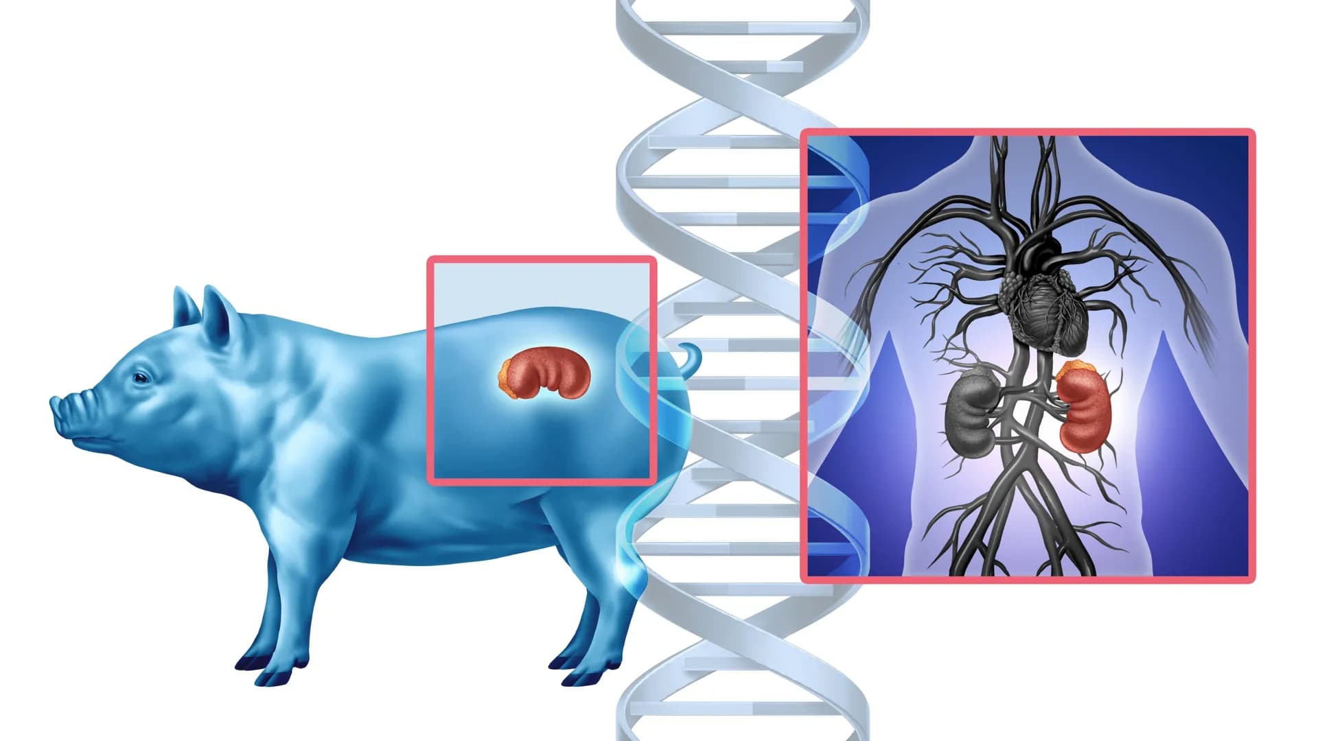 ScienceDaily
