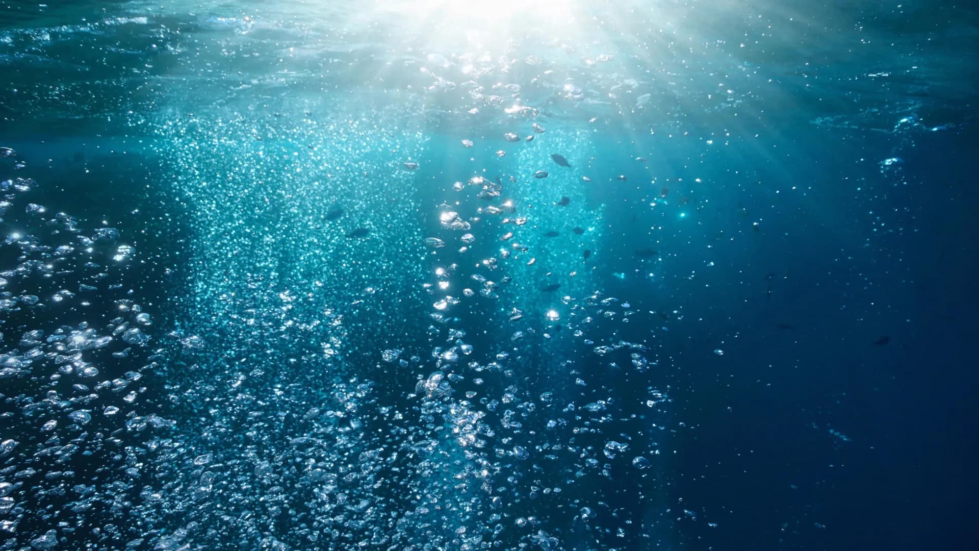 ScienceDaily