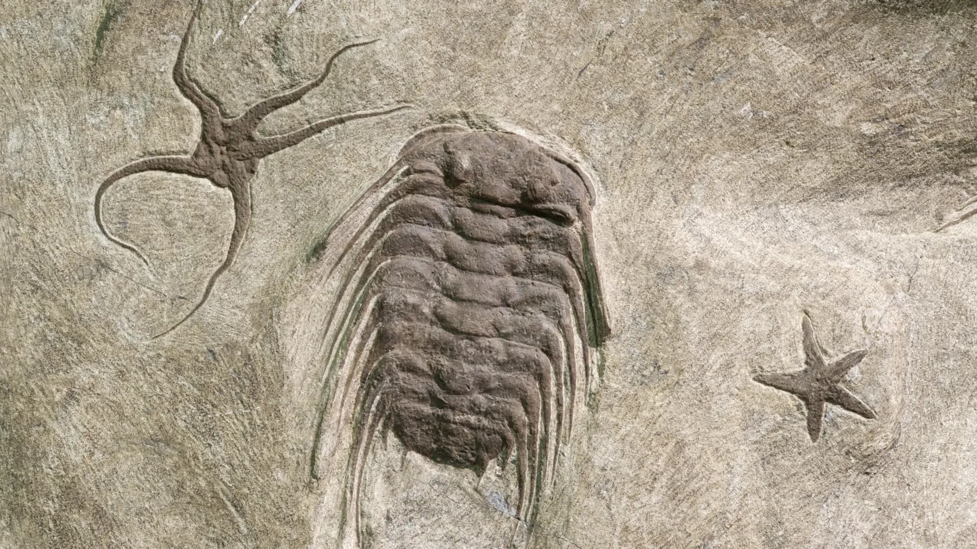 ScienceDaily
