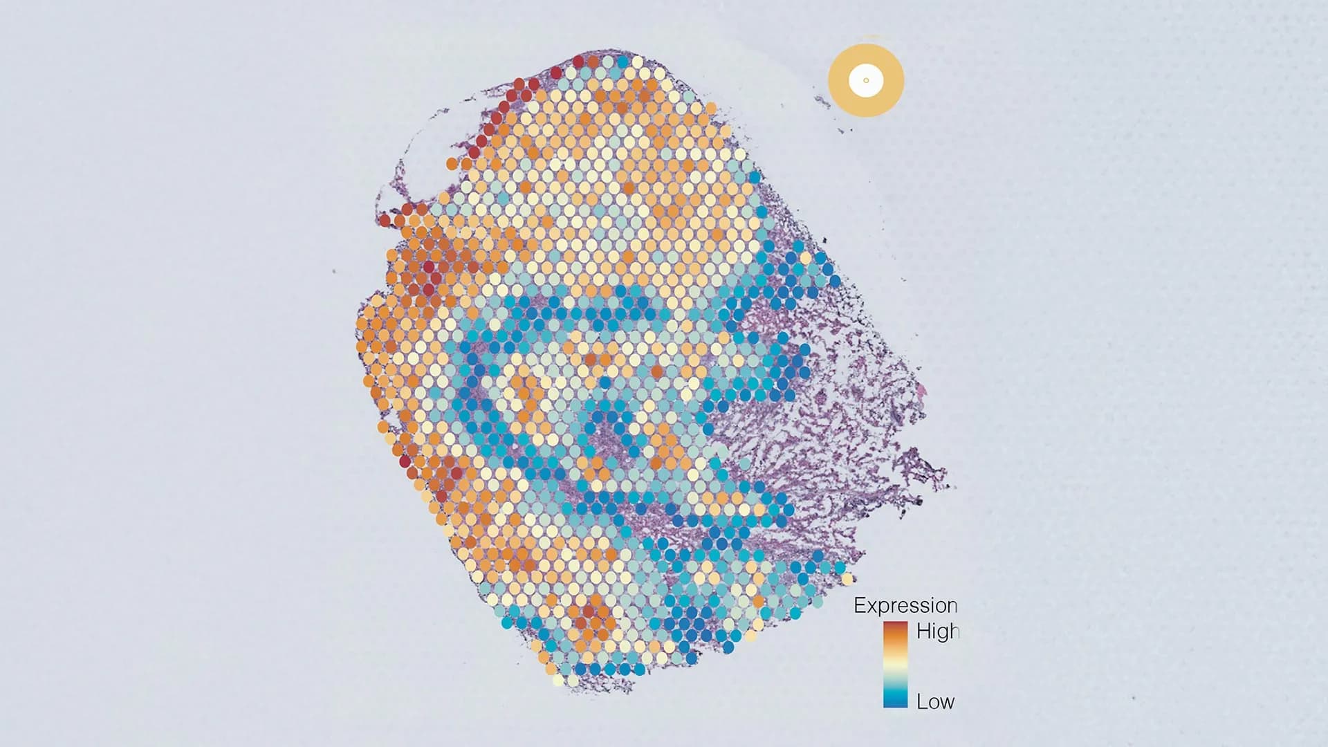 ScienceDaily